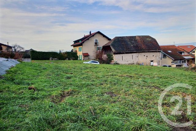 terrain à vendre - 971.0 m2 - PUBLIER - 74 - RHONE-ALPES - Century 21 Chablais - Léman